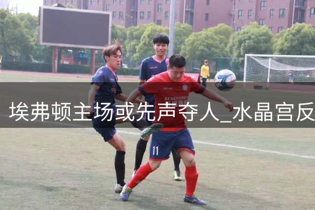 埃弗顿主场或先声夺人 水晶宫反扑恐难奏效