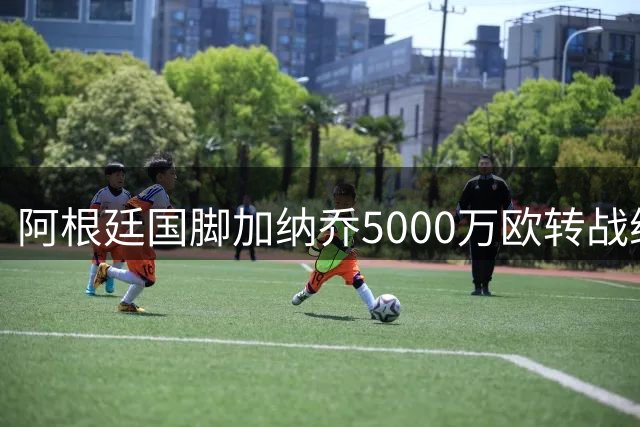 阿根廷国脚加纳乔5000万欧转战维拉